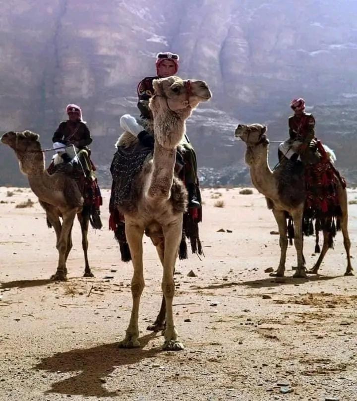 Enad Desert Camp Wadi Rum Exteriör bild
