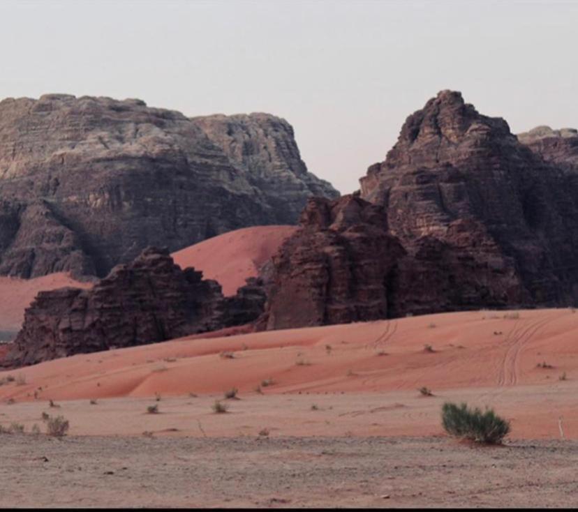 Enad Desert Camp Wadi Rum Exteriör bild